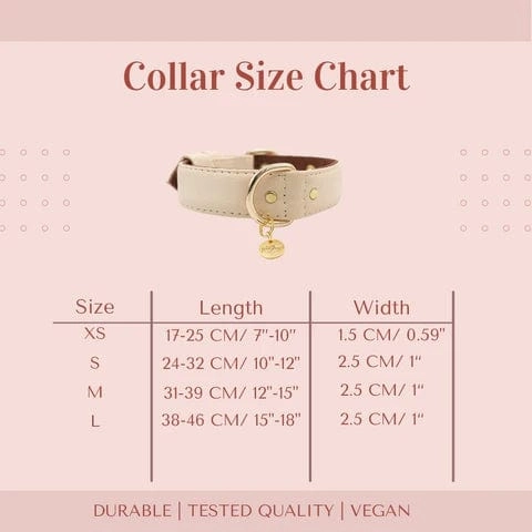 2 In 1 Piñatex® Vegan Leather Dog Collar & Leash Set | White