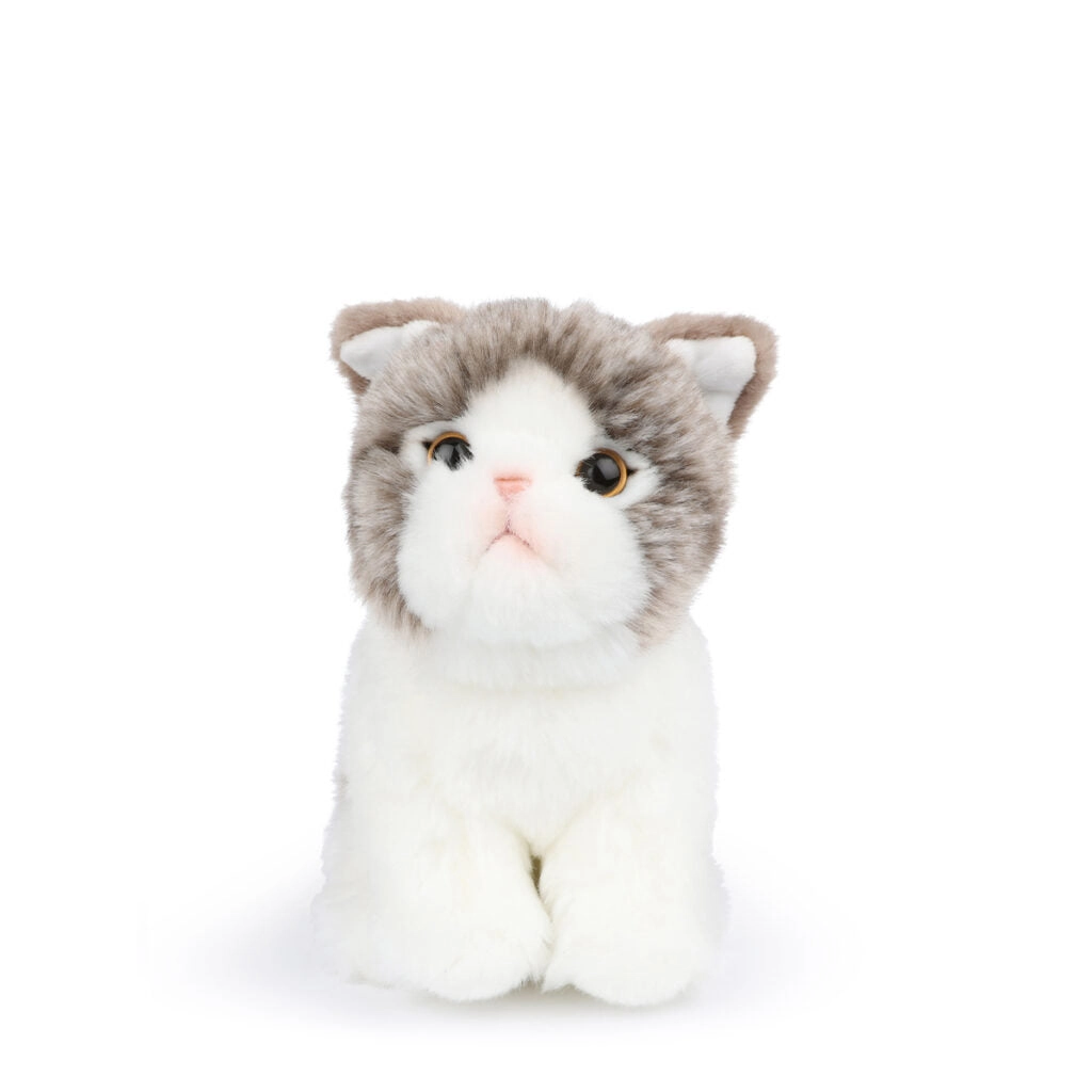 B.T. Chaps  Amelie The Scottisch Fold in Giftbox - 17cm - 6.5