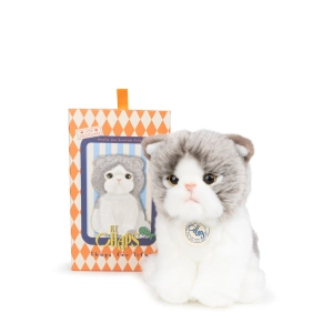 B.T. Chaps  Amelie The Scottisch Fold in Giftbox - 17cm - 6.5