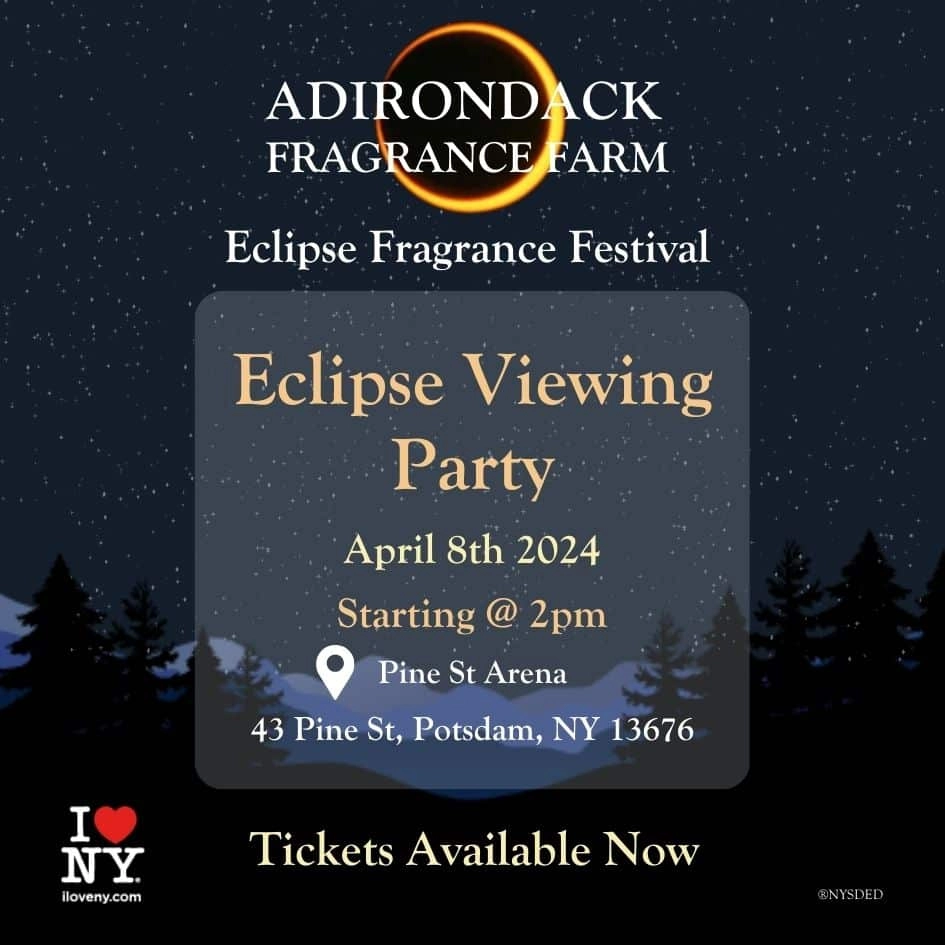 Eclipse Fragrance Festival Discovery Pack