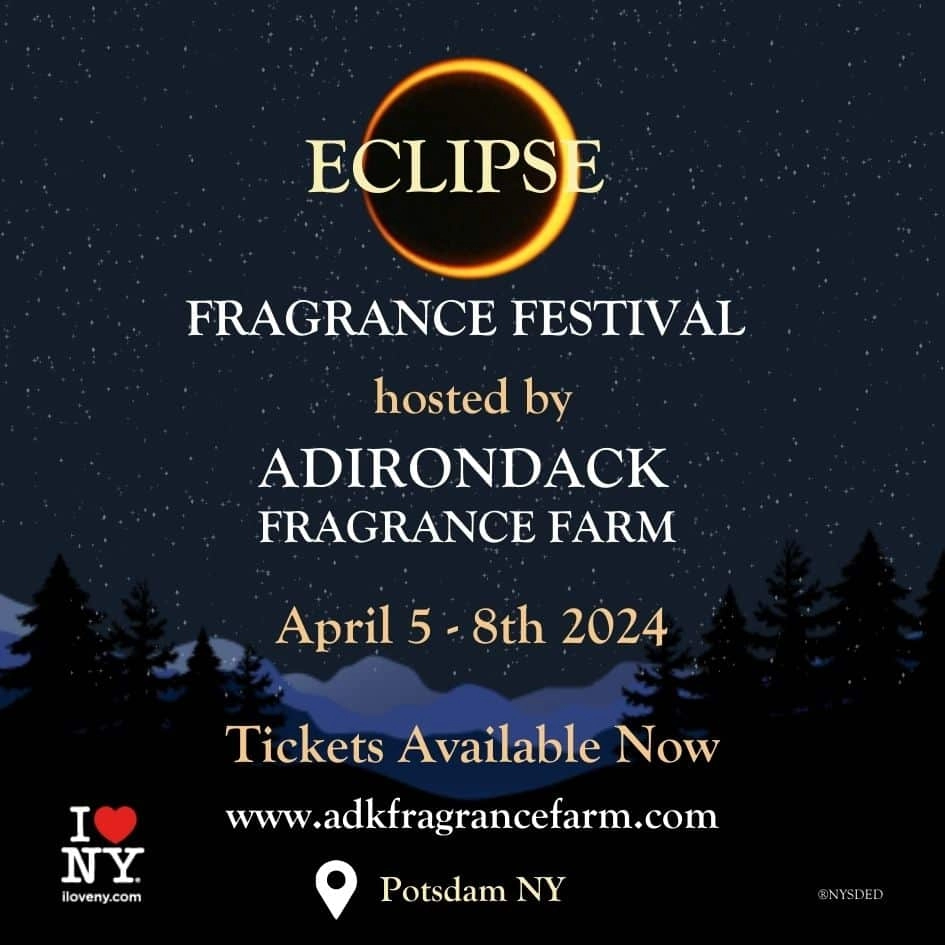 Eclipse Fragrance Festival Discovery Pack