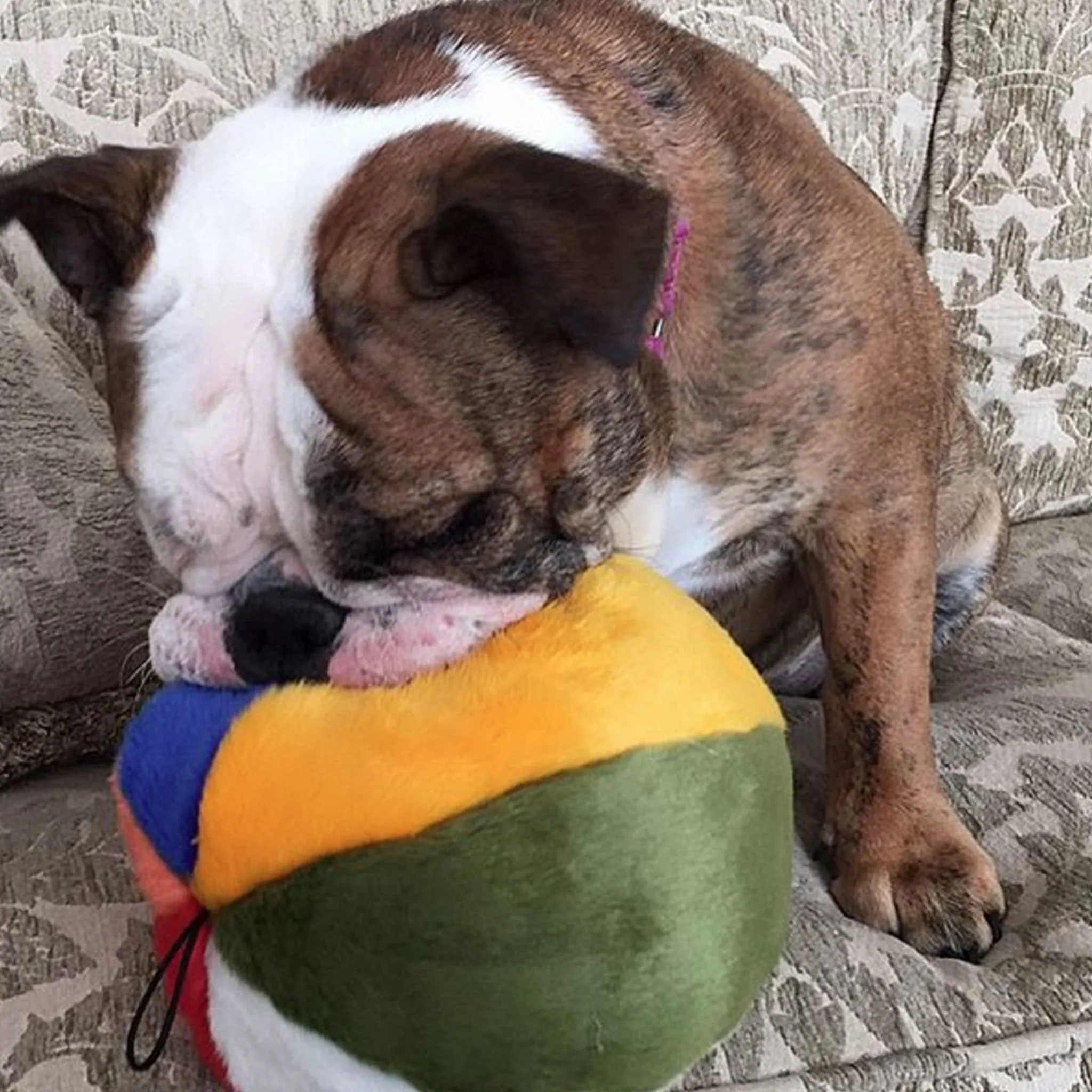 Fluff & Tuff Beach Ball Dog Toy