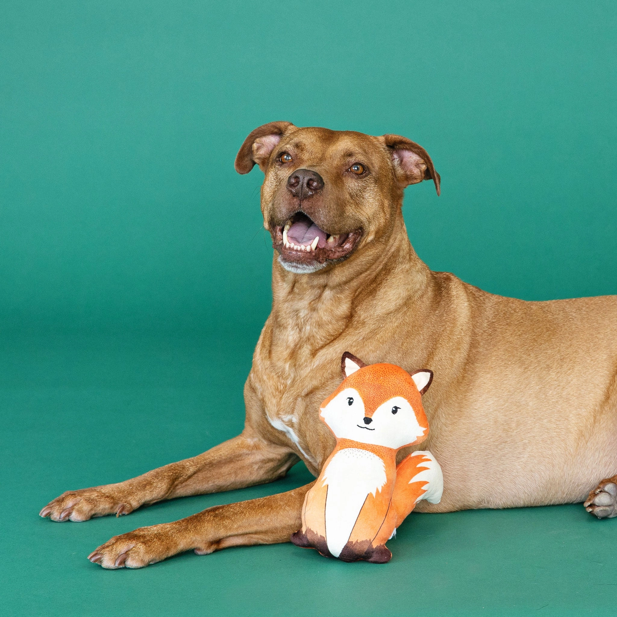 Fringe Farrah Fox Orange Dog Toys