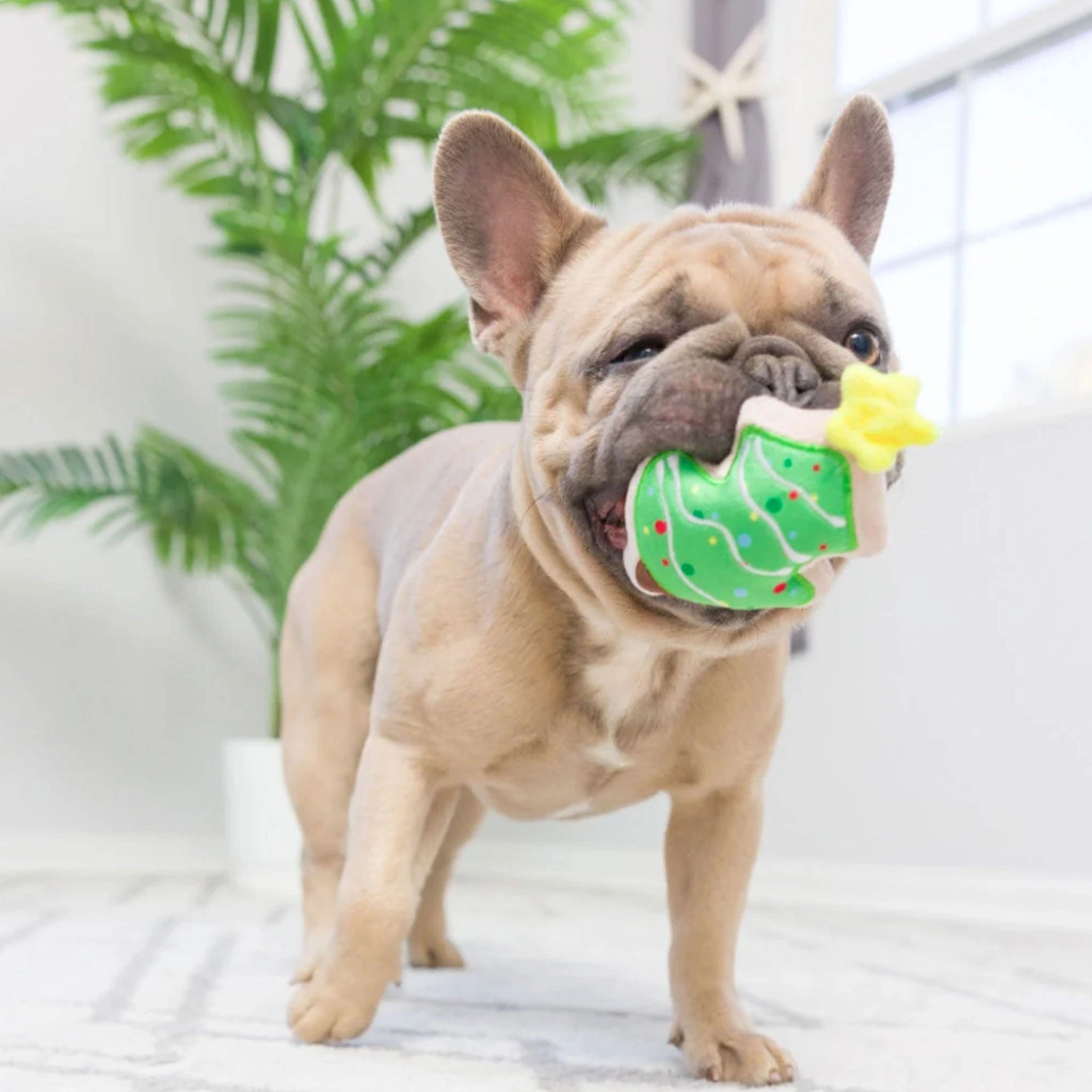 Huxley & Kent Tiny Tuff Christmas Treats Multi Dog Toys