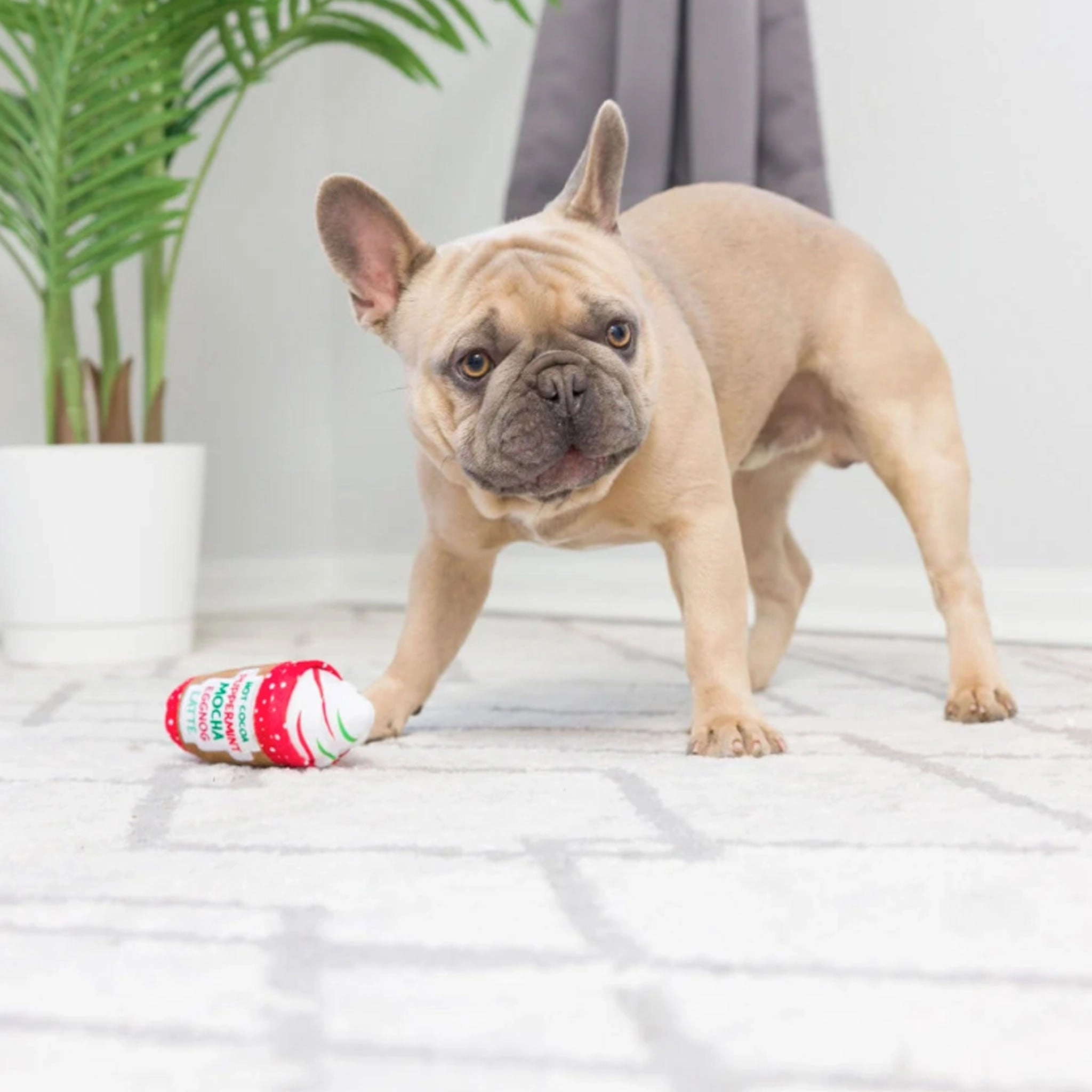 Huxley & Kent Tiny Tuff Christmas Treats Multi Dog Toys