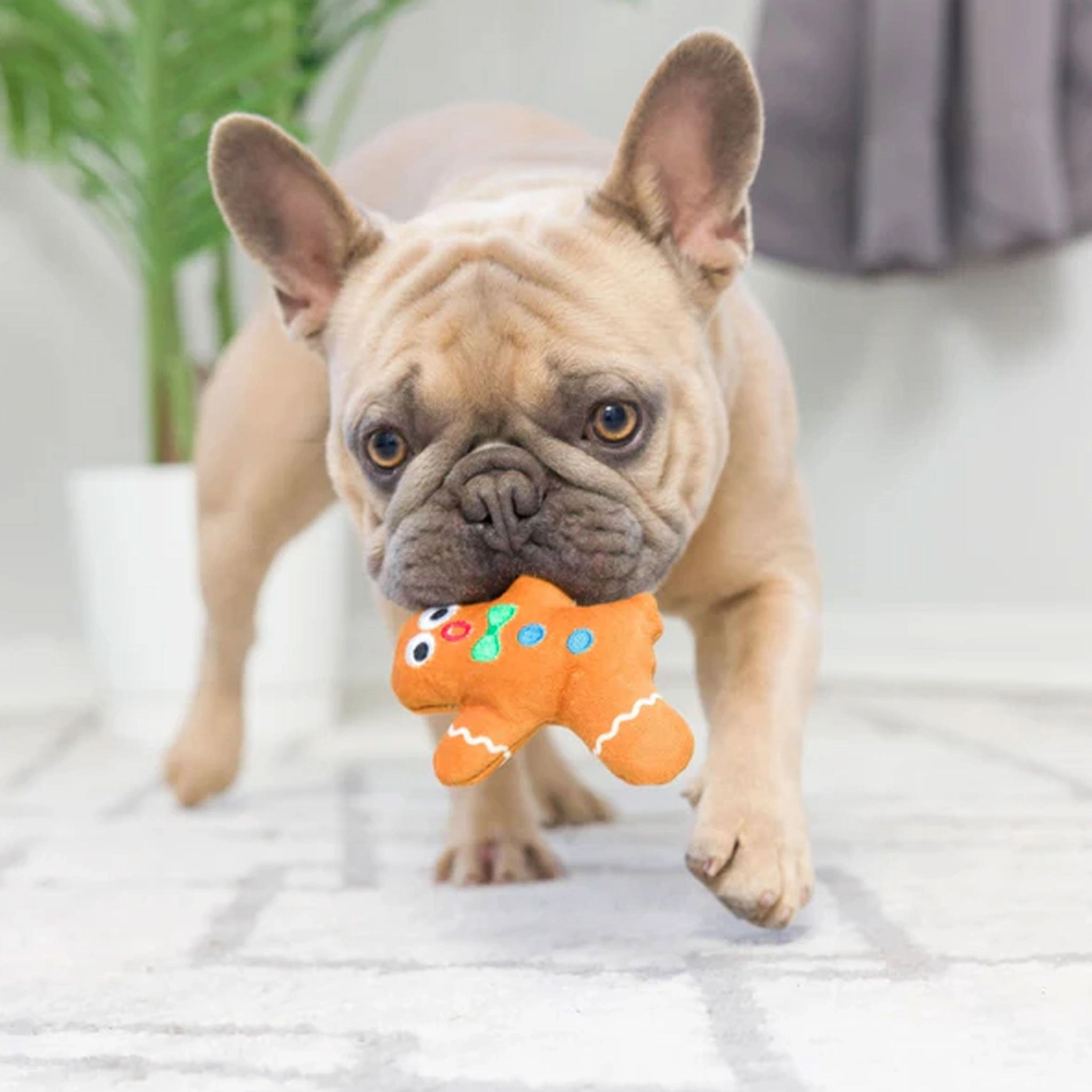 Huxley & Kent Tiny Tuff Dunk & Crunch Multi Dog Toys