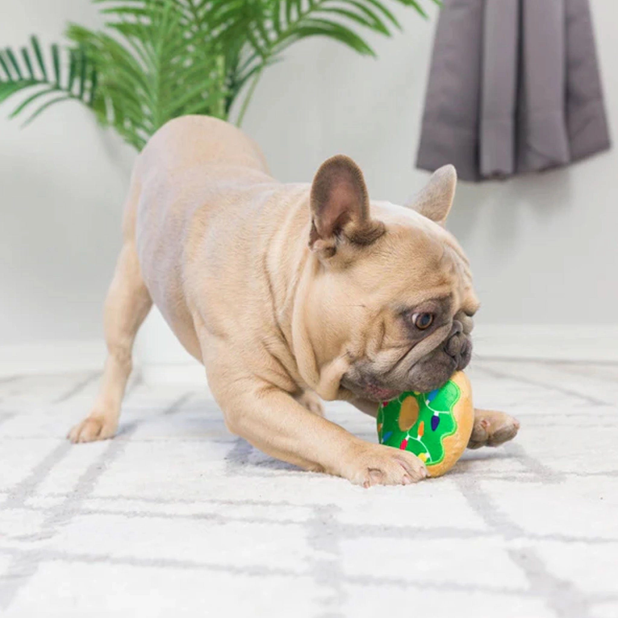Huxley & Kent Tiny Tuff Dunk & Crunch Multi Dog Toys