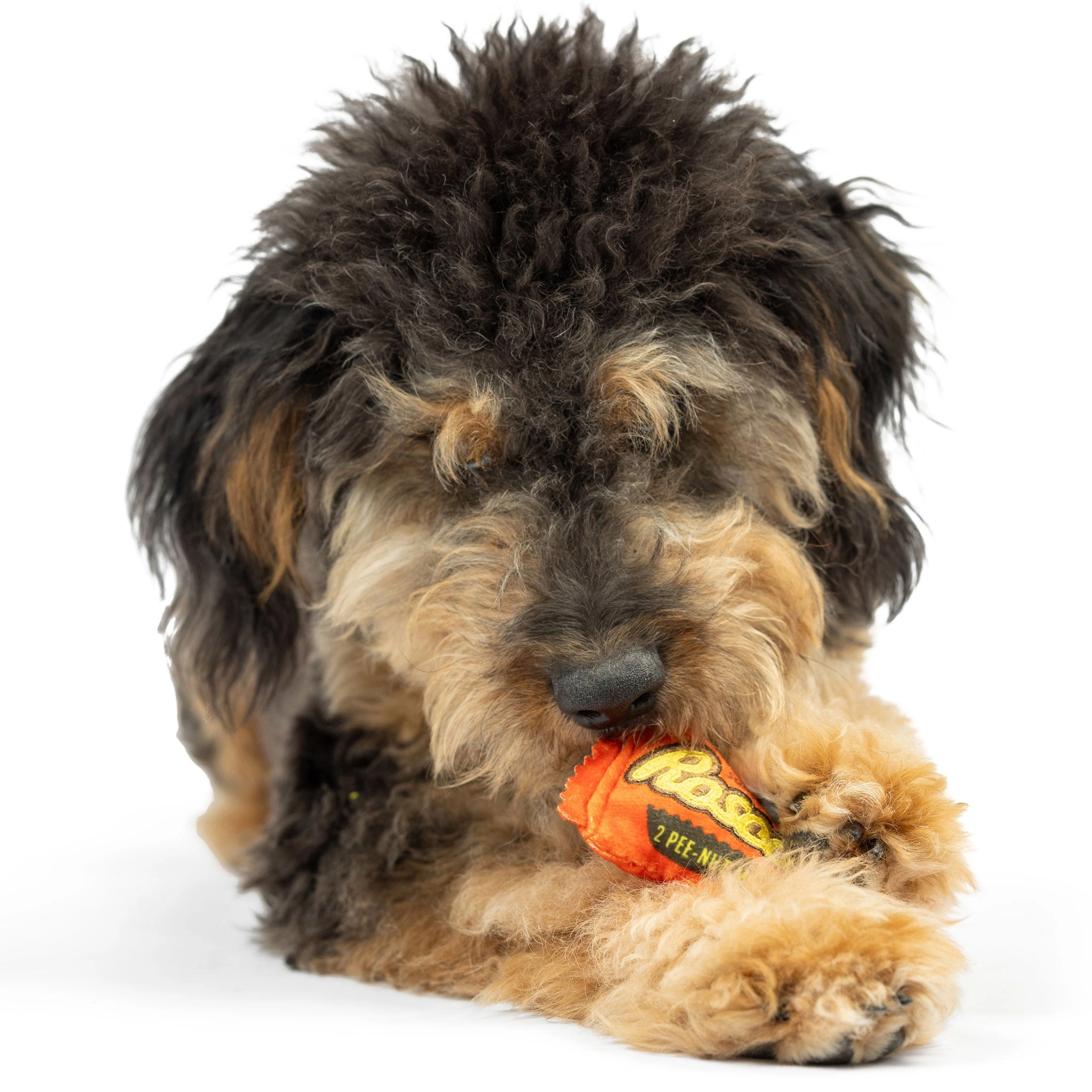 Huxley & Kent Tiny Tuff Fish Sweets Multi Dog Toys
