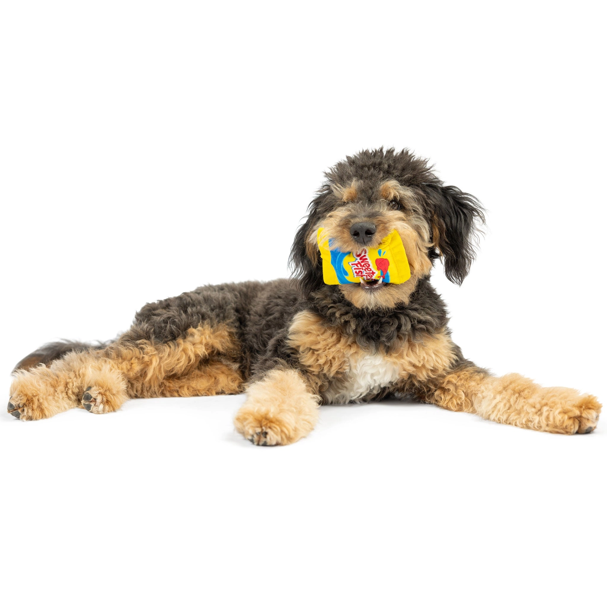 Huxley & Kent Tiny Tuff Fish Sweets Multi Dog Toys