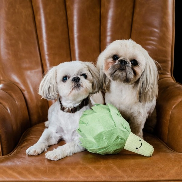 Injoya Artichoke Snuffle Toy for Dogs & Cats