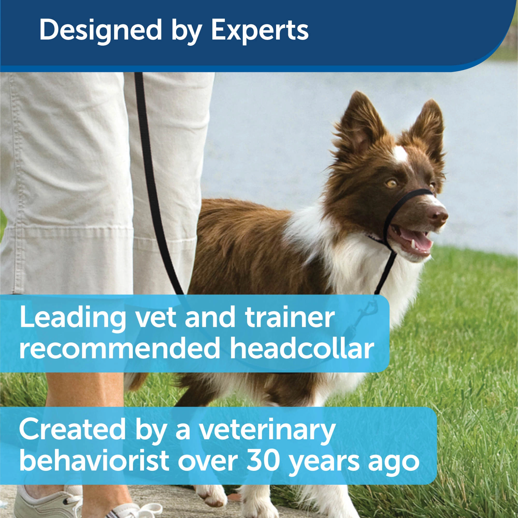 PetSafe® Gentle Leader® Headcollar, No-Pull Dog Collar