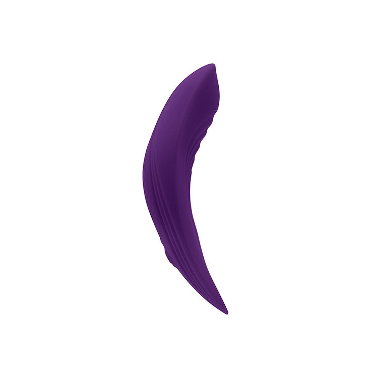 Playboy Pleasure Our Little Secret Panty Vibrator