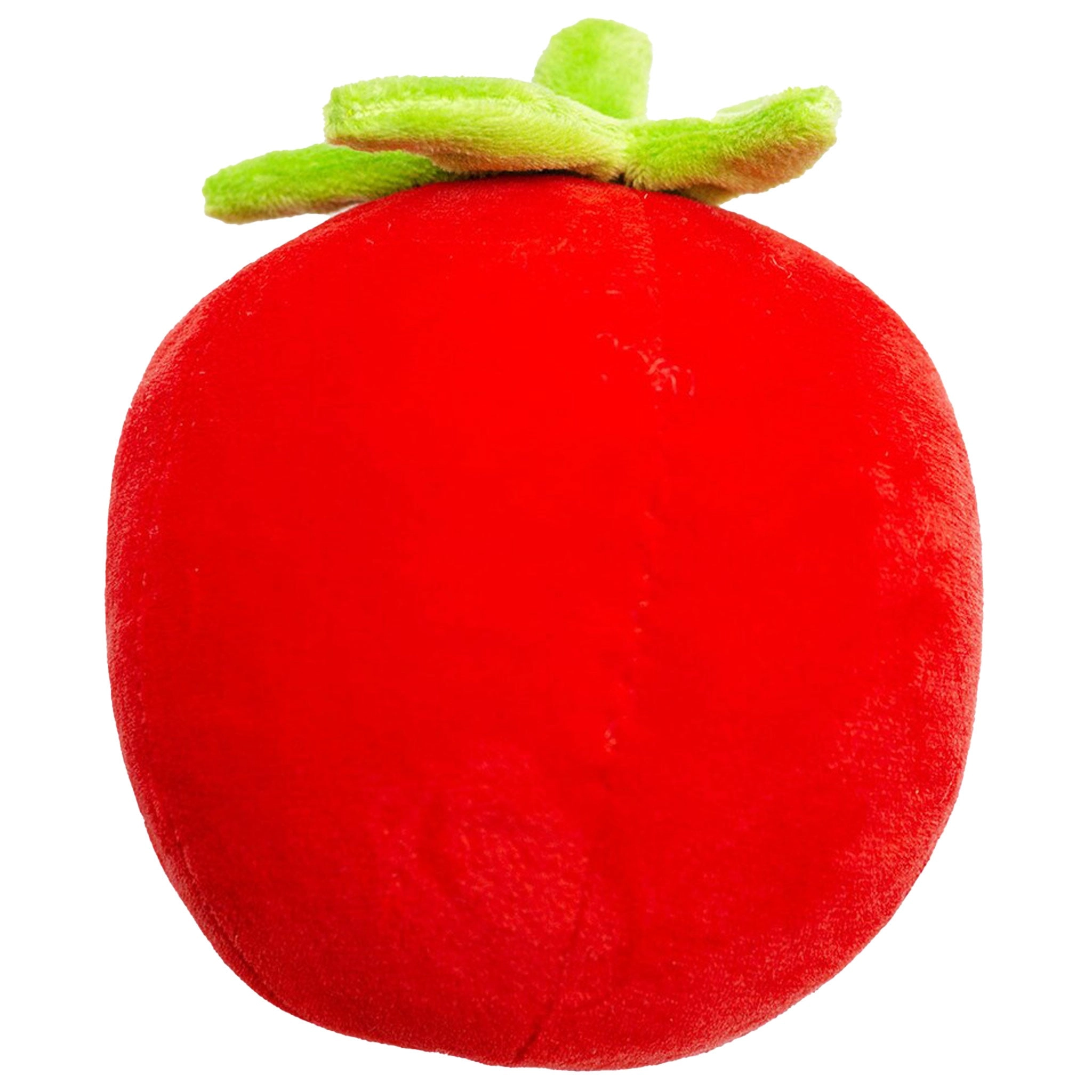 Thoozy Pet Tomato Red Dog Toys