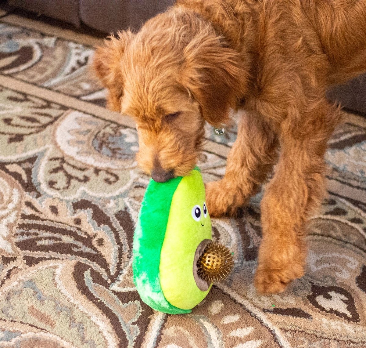 ThoozyPet Avocado 2-in-1 Plush Dog Toy