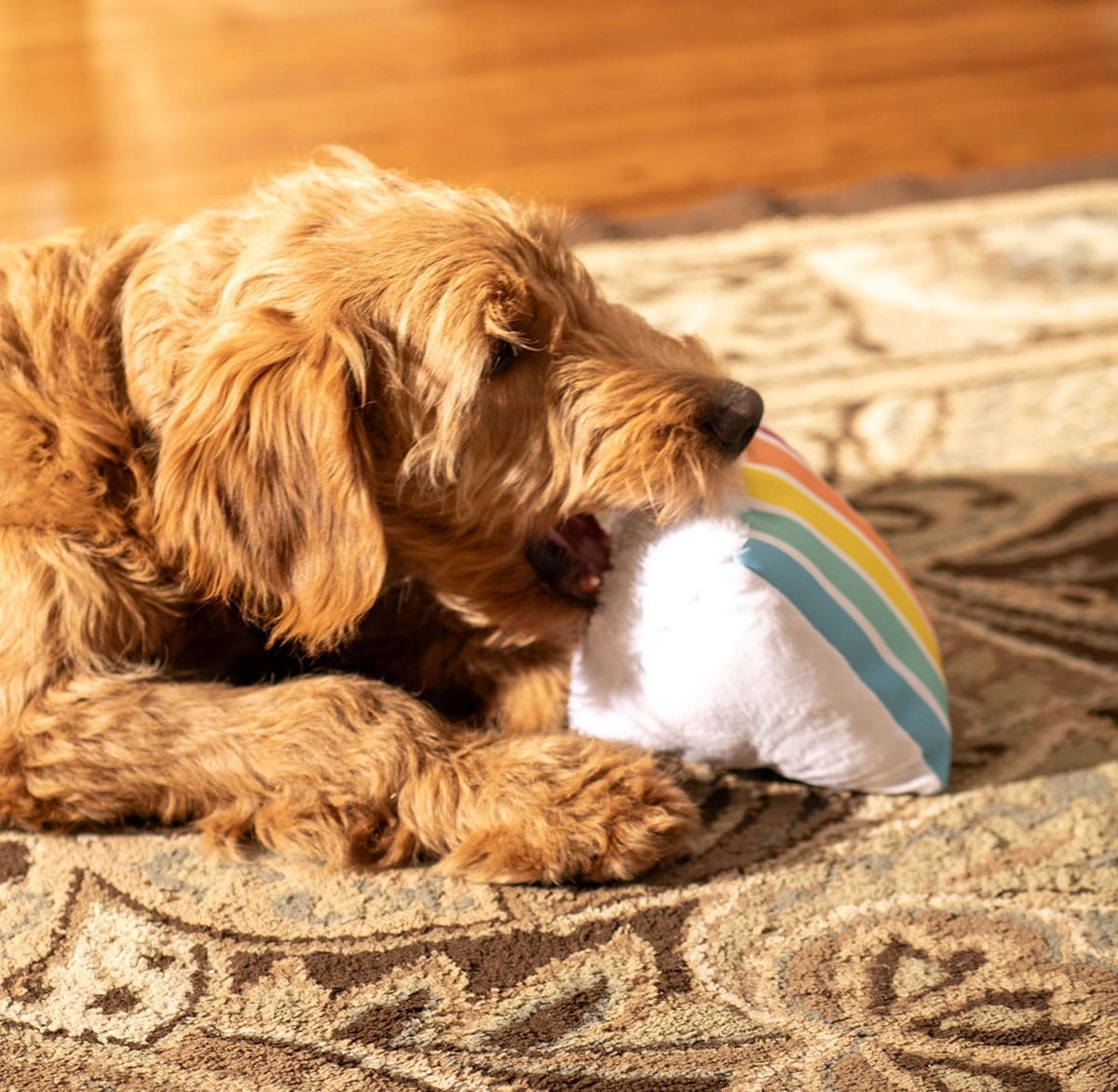 ThoozyPet Birthday Layer Cake Plush Dog Toy