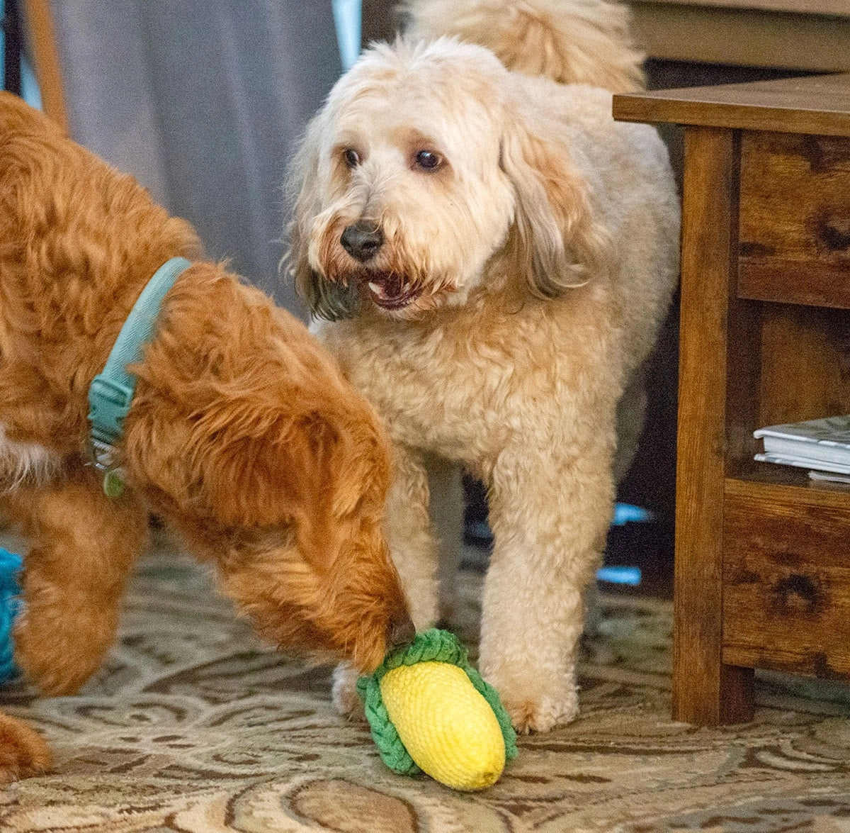 ThoozyPet Corn Plush Dog Toy