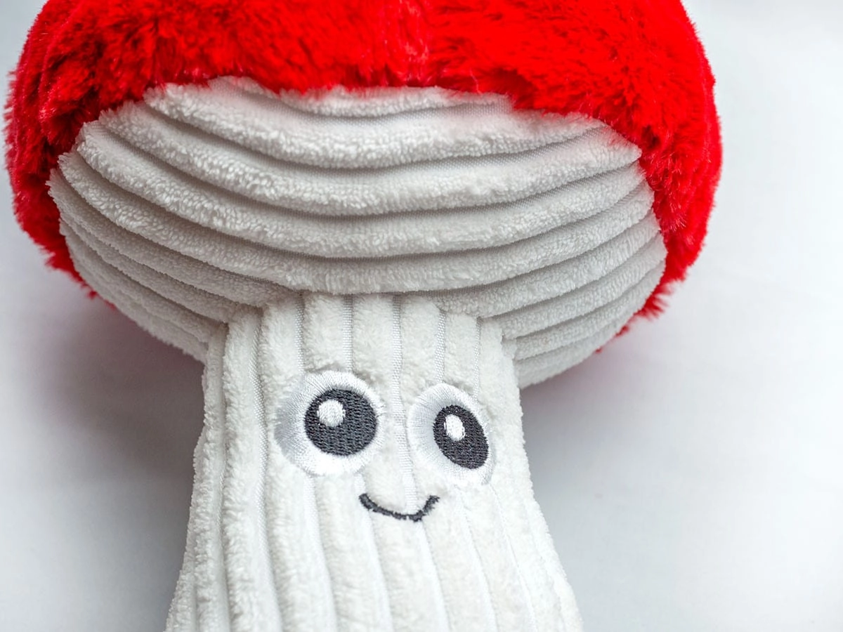 ThoozyPet Mushroom Plush Dog Toy