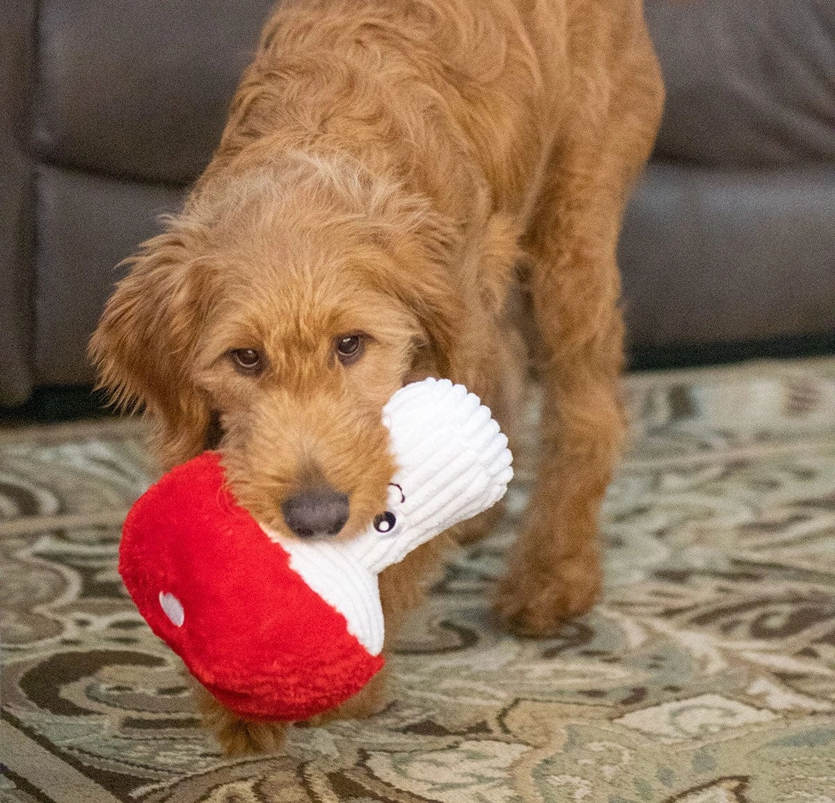 ThoozyPet Mushroom Plush Dog Toy
