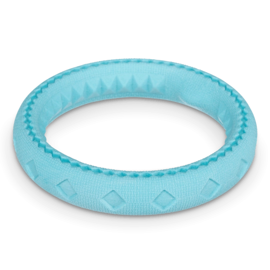 Totally Pooched Chew and Tug Ring Teal Toy for Dogs